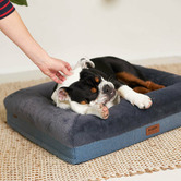 Kazoo Wombat Pet Bed