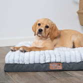 Kazoo Cloud Comfort Pet Bed