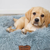 Kazoo Peacock Pet Bed