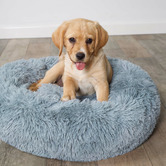 Kazoo Peacock Pet Bed