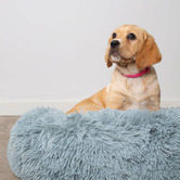 Kazoo Peacock Pet Bed