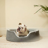 Kazoo Manhattan Pet Bed