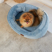 Kazoo Bilby Pet Bed