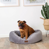 Kazoo Bilby Pet Bed