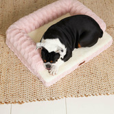 Kazoo Blush Boudoir Pet Bed