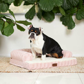 Kazoo Blush Boudoir Pet Bed