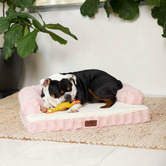 Kazoo Blush Boudoir Pet Bed