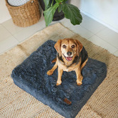 Kazoo Cloudy Grey Slumber Pet Bed