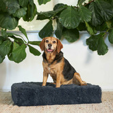 Kazoo Cloudy Grey Slumber Pet Bed