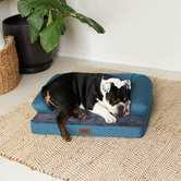 Kazoo Teal Boudoir Pet Bed