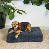 Kazoo Cloudy Grey Slumber Pet Bed