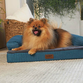 Kazoo Teal Boudoir Pet Bed