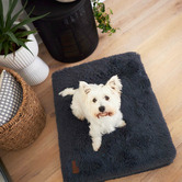 Kazoo Cloudy Grey Slumber Pet Bed