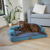 Kazoo Teal Boudoir Pet Bed