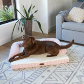 Kazoo Blush Boudoir Pet Bed