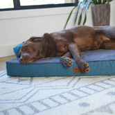 Kazoo Teal Boudoir Pet Bed