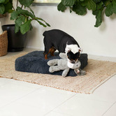 Kazoo Cloudy Grey Slumber Pet Bed