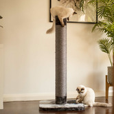 Kazoo Cat Scratching Post with Toy