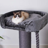 Kazoo 100cm Cat Scratching Post with Bed
