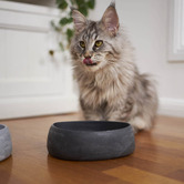 Kazoo Marble-Look Pet Bowl