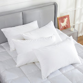 By Designs Olivier Medium Pillows
