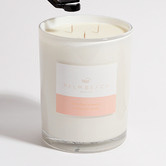 Palm Beach Collection 850g White Rose &amp; Jasmine Soy Candle