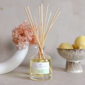 Palm Beach Collection 250ml Jasmine &amp; Lime Fragrance Diffuser