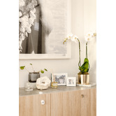 Palm Beach Collection 250ml Jasmine &amp; Lime Fragrance Diffuser