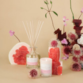 Palm Beach Collection 50ml Pomelo &amp; Dewberry Fragrance Diffuser