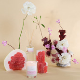 Palm Beach Collection 50ml Pomelo &amp; Dewberry Fragrance Diffuser