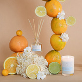 Palm Beach Collection 50ml Yuzu &amp; Sea Moss Fragrance Diffuser