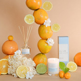 Palm Beach Collection 50ml Yuzu &amp; Sea Moss Fragrance Diffuser