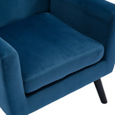 Cassington Home Juliana Velvet Armchair
