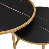 Cassington Home 2 Piece Damon Nesting Coffee Table Set