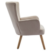 Cassington Home Elyse Velvet Armchair