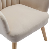 Cassington Home Elyse Velvet Armchair
