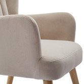 Cassington Home Elyse Velvet Armchair