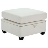 Cassington Home Juno Upholstered Storage Ottoman