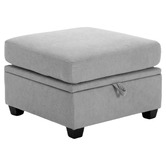 Cassington Home Juno Upholstered Storage Ottoman