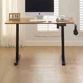 Cassington Home Theodore Electric Sit &amp; Stand Desk