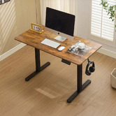 Cassington Home Theodore Electric Sit &amp; Stand Desk