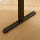 Cassington Home Theodore Electric Sit &amp; Stand Desk