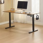 Cassington Home Theodore Electric Sit &amp; Stand Desk
