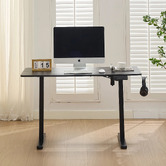 Cassington Home Theodore Electric Sit &amp; Stand Desk