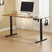 Cassington Home Theodore Electric Sit &amp; Stand Desk