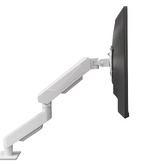 Cassington Home Harley Adjustable Single Monitor Arm with Desk Clamp