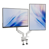 Cassington Home Harley Adjustable Dual Monitor Arm with Desk Clamp