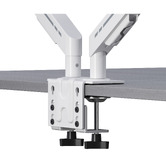 Cassington Home Harley Adjustable Dual Monitor Arm with Desk Clamp