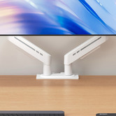 Cassington Home Harley Adjustable Dual Monitor Arm with Desk Clamp
