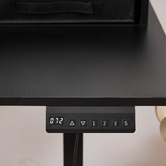 Cassington Home Jannie Electric Sit &amp; Stand Desk